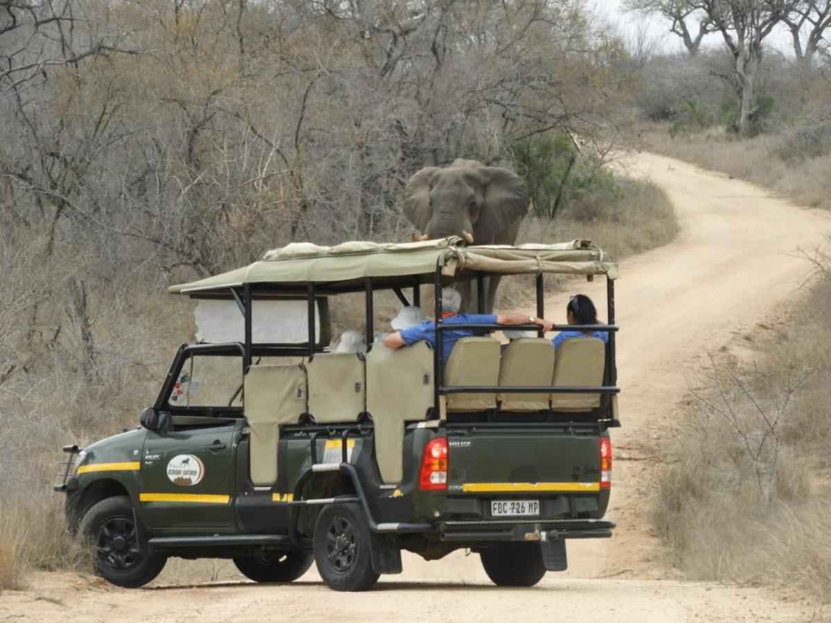 Bongan Safari Lodge Mbabat 外观 照片