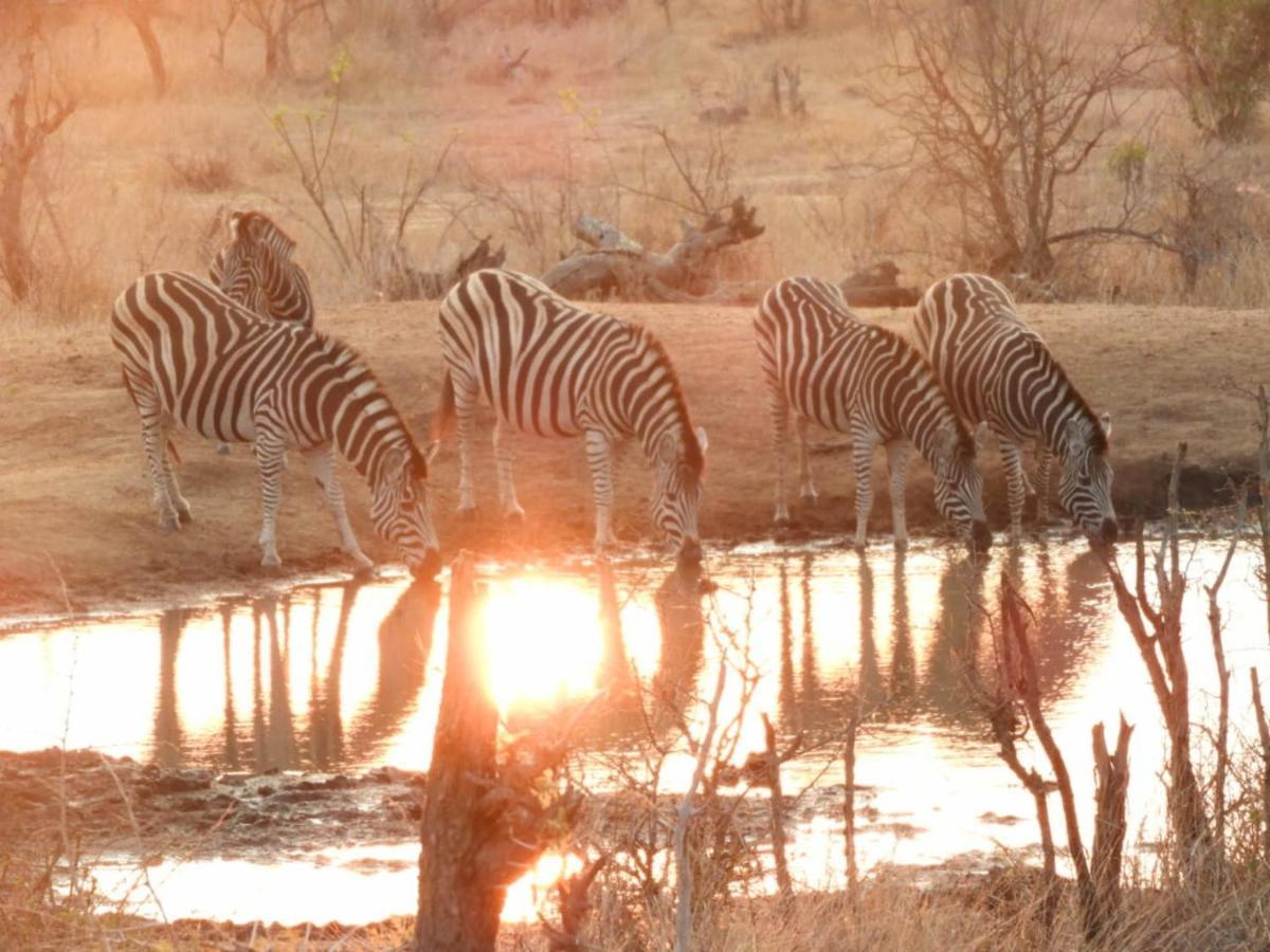 Bongan Safari Lodge Mbabat 外观 照片